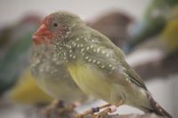 IMG_8894